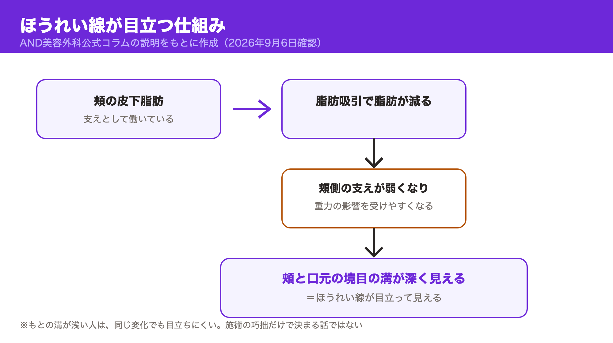 頬の皮下脂肪が減って支えが弱くなり、重力の影響を受けやすくなることでほうれい線の溝が深く見える流れを示した図