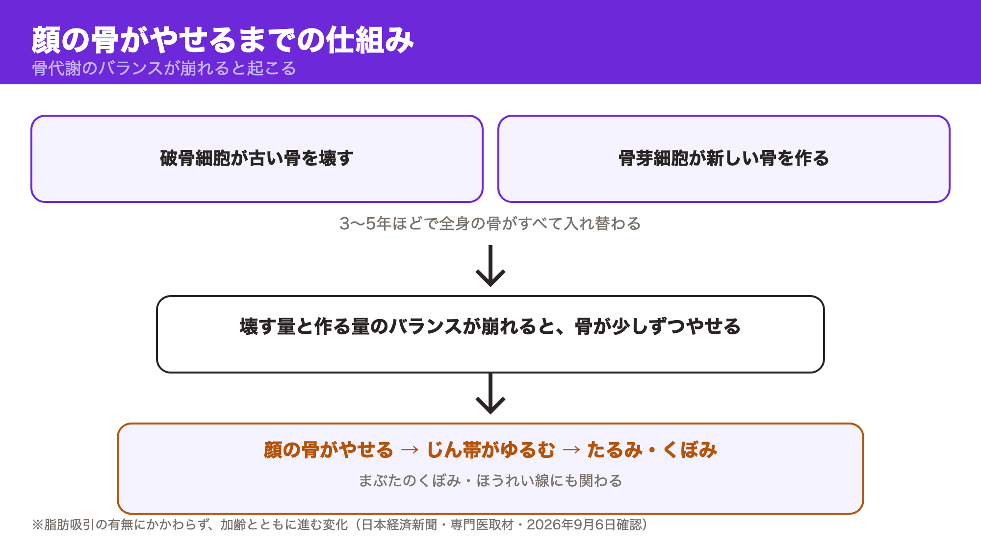 骨代謝（破骨細胞と骨芽細胞のバランス）が崩れて顔の骨がやせ、たるみ・くぼみにつながる流れの図
