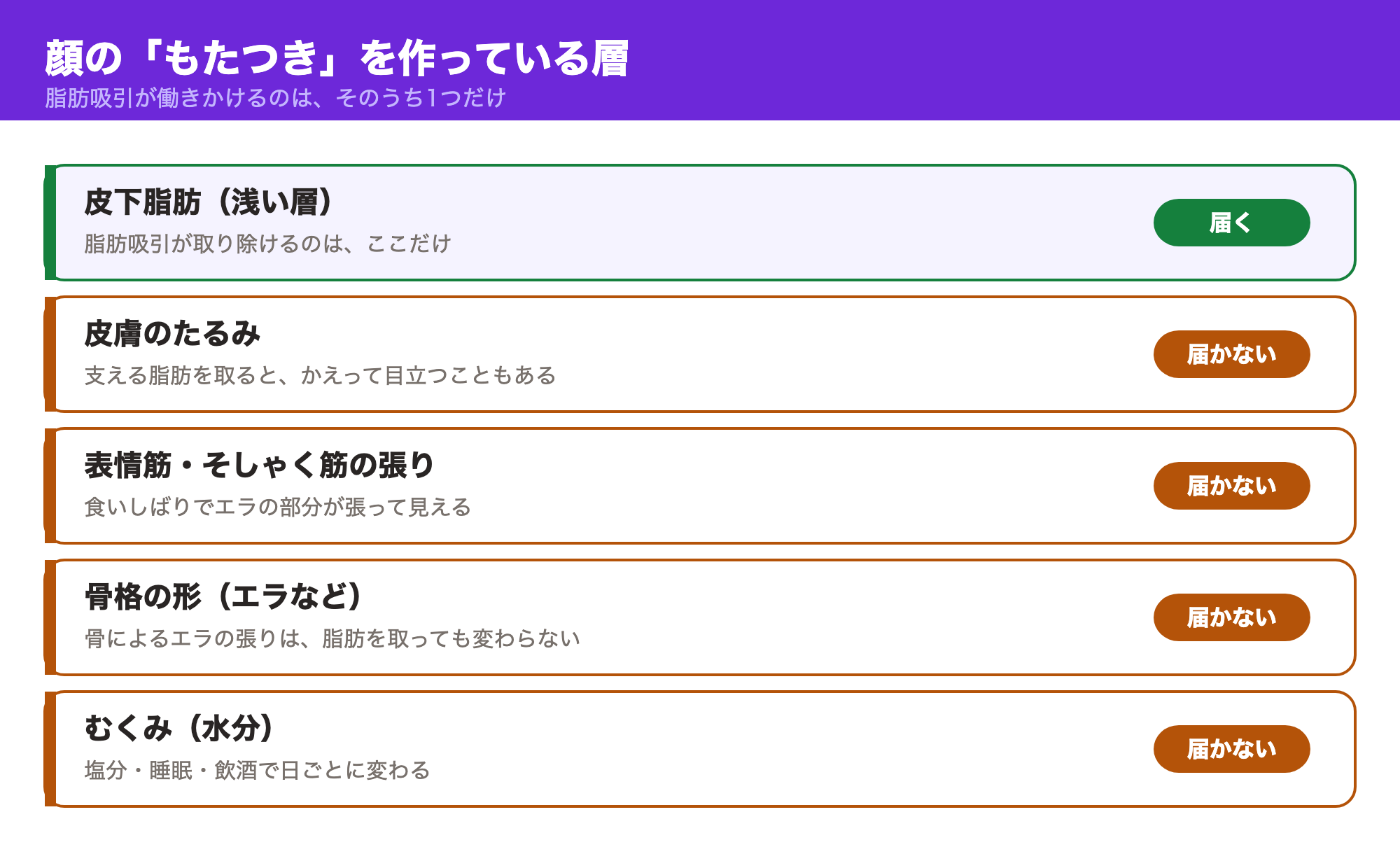 顔のもたつきを作る皮下脂肪・皮膚のたるみ・表情筋やそしゃく筋の張り・骨格の形・むくみの5つの層のうち、脂肪吸引が働きかけられるのは皮下脂肪だけであることを示した図